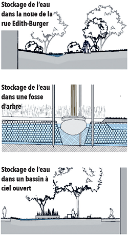 © Ville de Lausanne